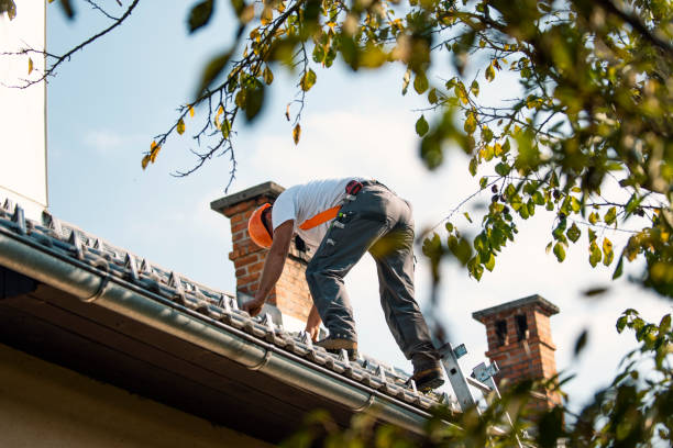 Best Flat Roof Repair Services  in River Road, WA