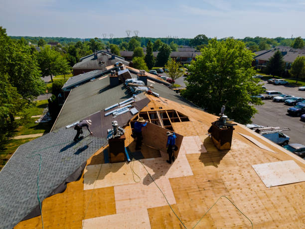 Roof Gutter Cleaning in River Road, WA