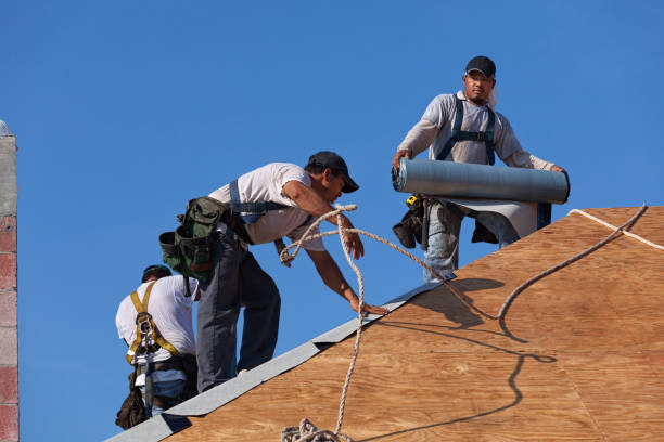 Roof Gutter Cleaning in River Road, WA